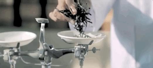 大益茶80周年献礼,致敬80年经典