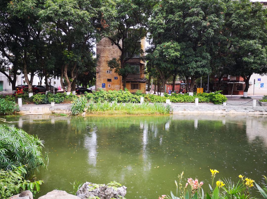 广西大学变化历史,广西大学文科毕业的你后来咋样了