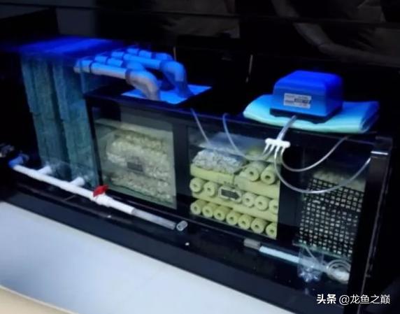 古人没有过滤怎么养鱼,陶瓷鱼缸过滤最佳方法