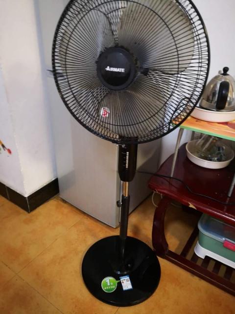 艾美特，想说爱你不容易