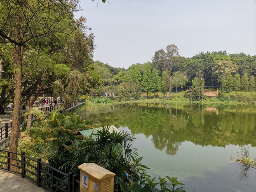 荣耀9x刚出卖多少钱,荣耀9x和荣耀9xpro