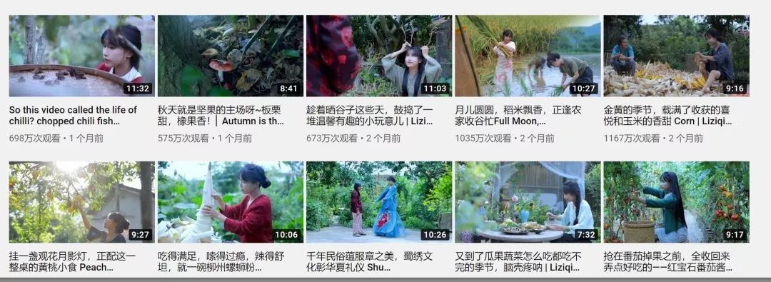 被央视点赞的李子柒，遭全网扒皮：“她算什么文化输出？！”