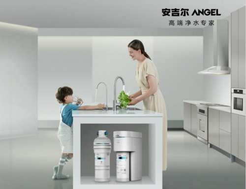 中国比较好的净水器品牌有哪些,目前净水器最好的品牌有哪些