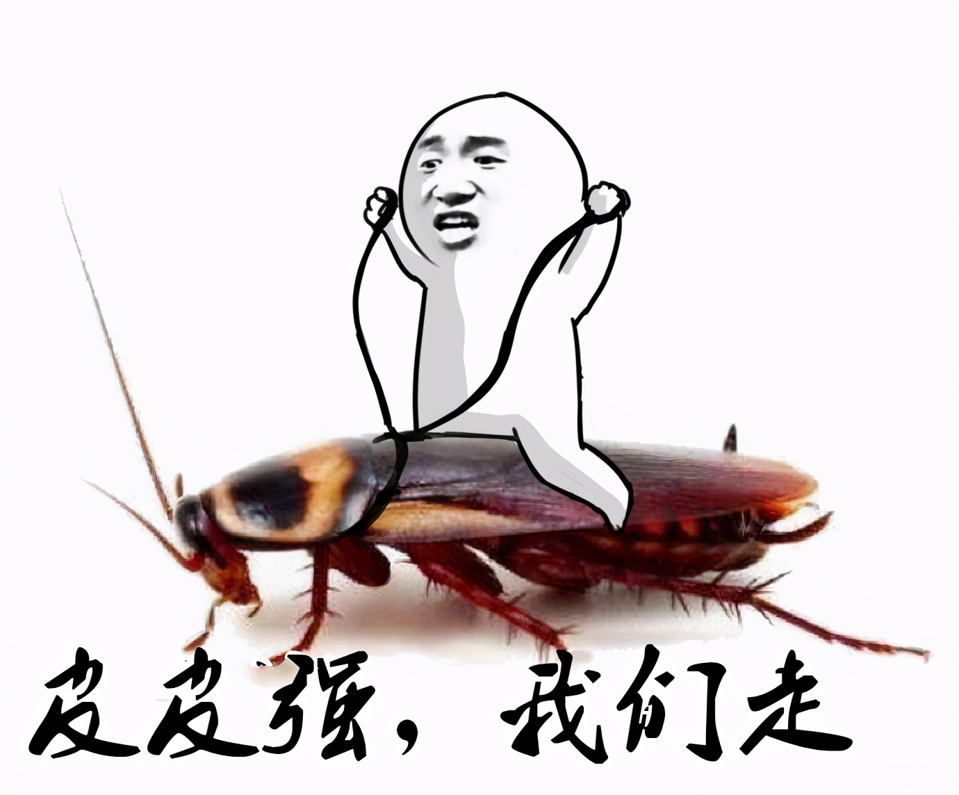 灭蟑螂最好的方法最简单的,灭蟑螂的方法可以消灭蚂蚁吗