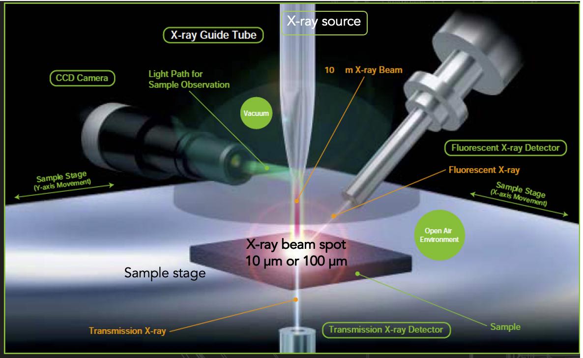 显微镜下的人类卵子和精子,人类首次拍到卵细胞