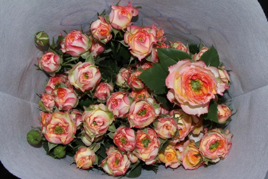 越南教师节鲜花为什么涨价,越南教师节鲜花涨价