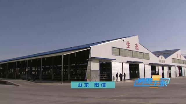 牛肉批发价最新价格,牛肉价格补贴最新消息