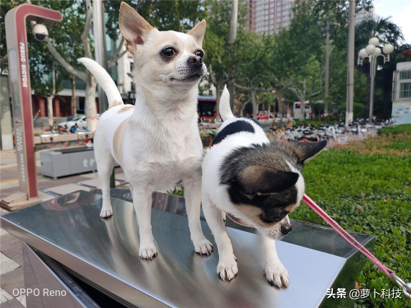 opporeno全系列测评,opporeno全面屏评测