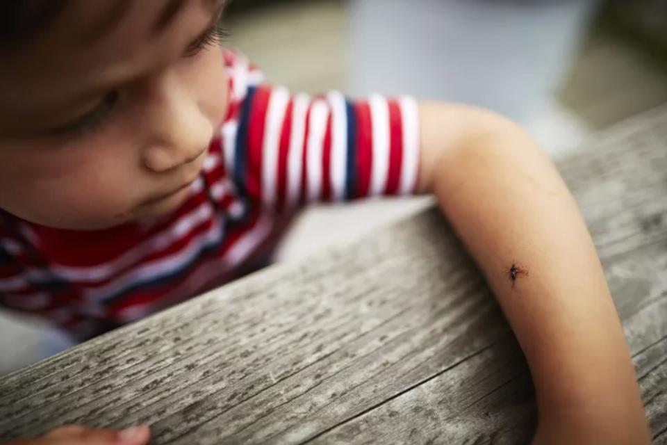 高温多雨，人蚊大战又开始了！没想到这3块钱一瓶的药挺管用