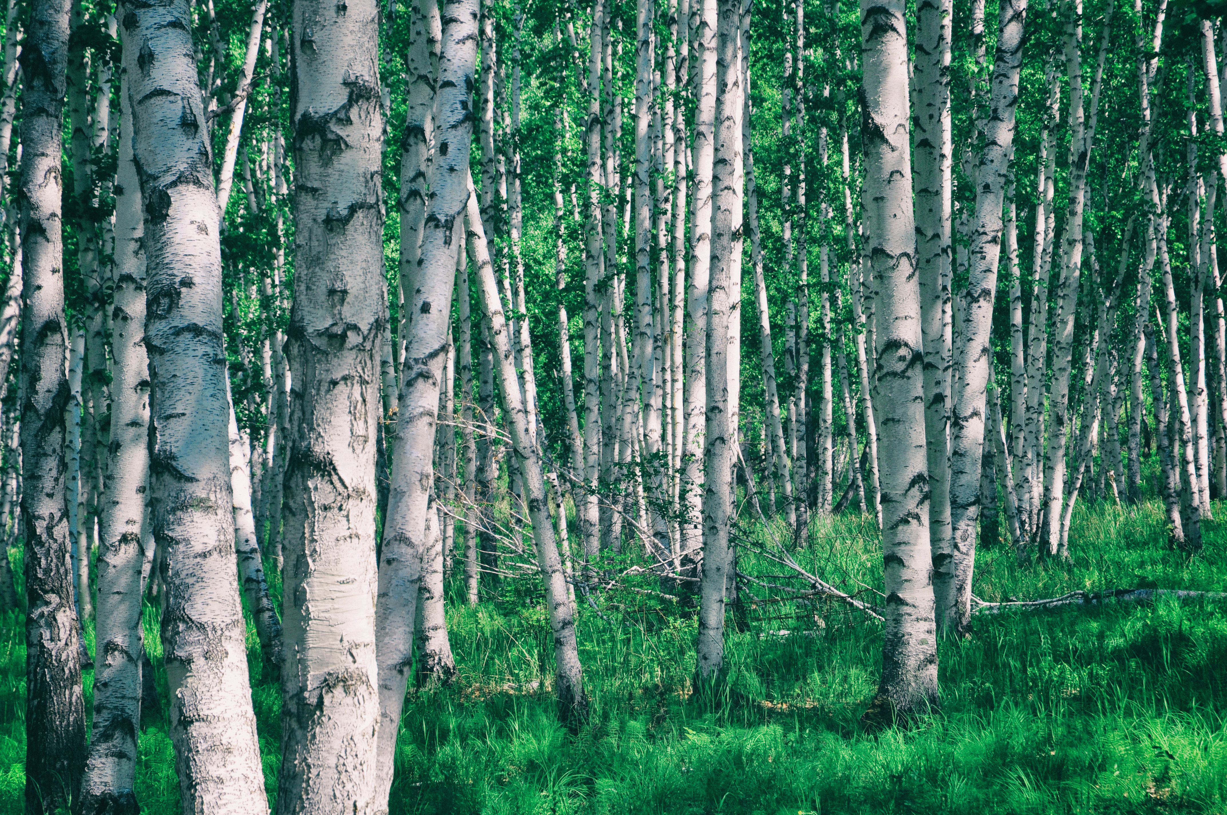 南方人自驾来东北是啥体验,15天一万公里的新疆感受