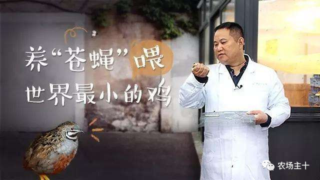 从乞丐到身价200万仅用一年时间,从乞讨到名相的传奇人生