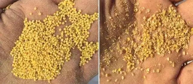 中国三次革命分别是什么,两次粮食革命是什么