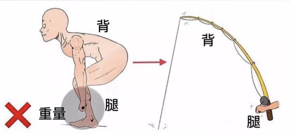 硬拉弓腰算成功吗,改善硬拉容易弓背的动作