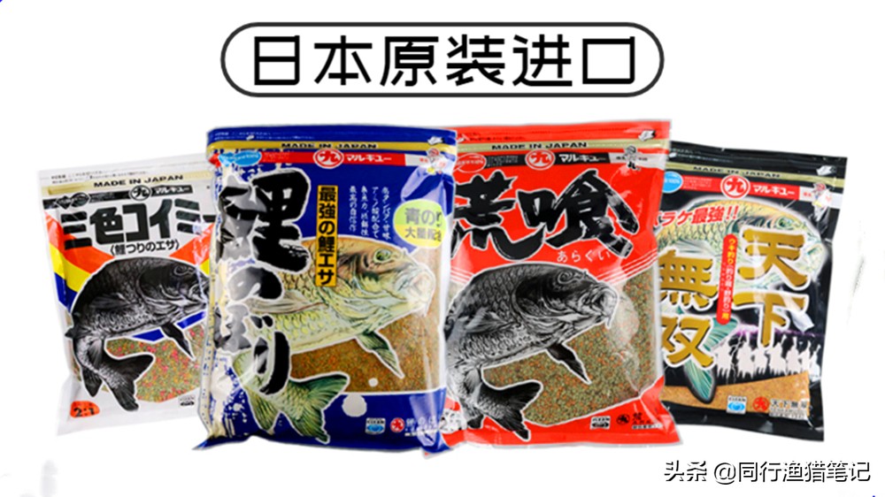 这八年来经历了太多的坎坷,为什么丸九的饵料好用