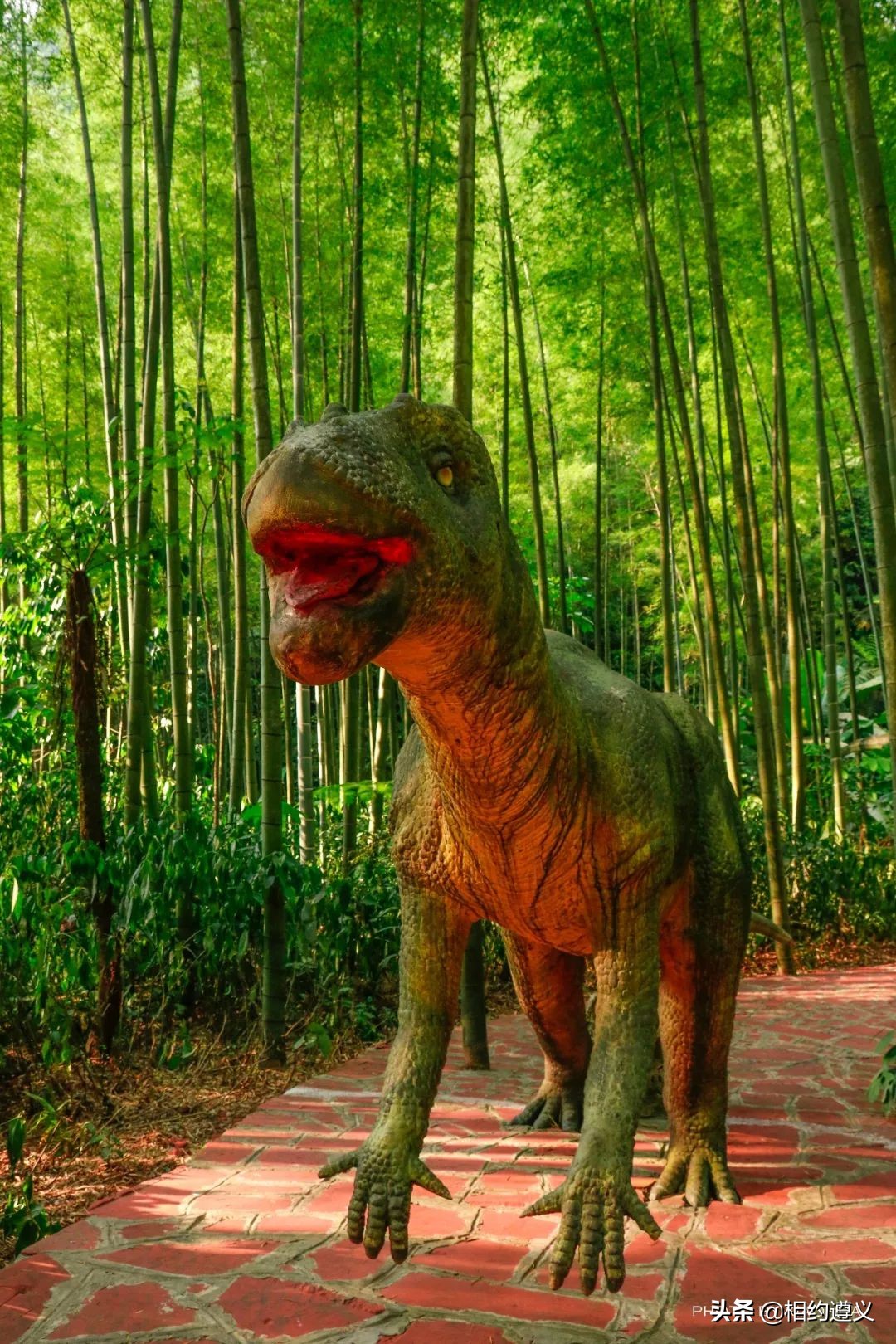 赤水大瀑布 侏罗纪公园 (世界唯一保留的侏罗纪原始公园)