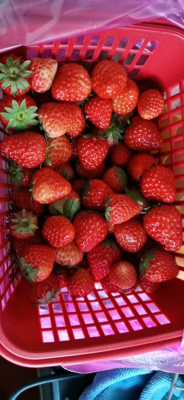 甜甜的草莓酱制作,在家最简单的草莓酱怎么做