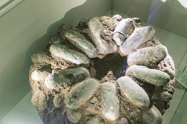 深圳翻身地铁成网红打卡地,深圳网红打卡地点富士康光明小镇