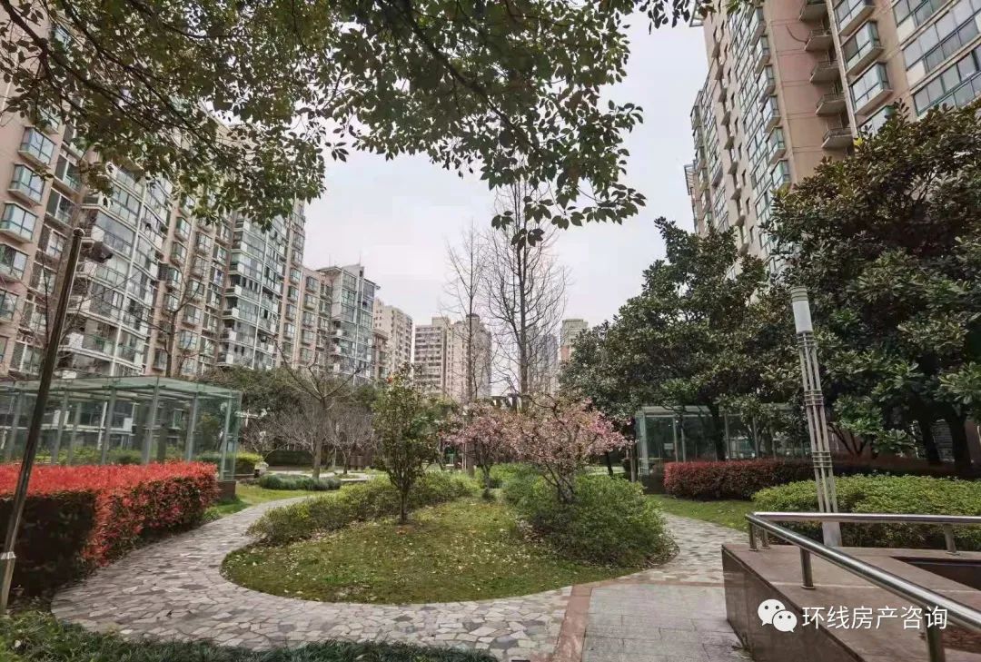 被CAZ抛弃的斜土路，还无房可买？