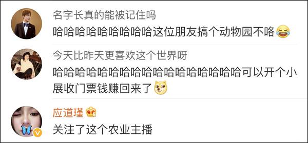 双11购物气死丈夫,双11成交惊呆老外