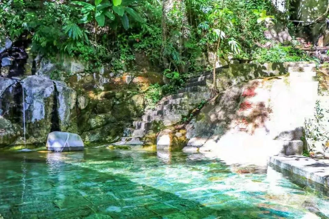 腾冲樱花谷哪里好,腾冲樱花谷的樱花什么时候开