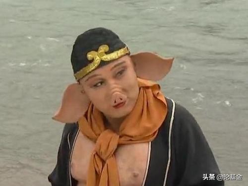 飞天猪未来价格,飞天猪保底多少钱