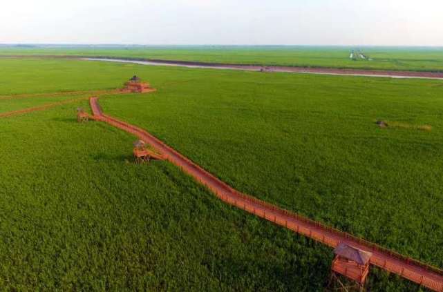 酒香更要“勤吆喝”！盘锦旅游“秀起来”