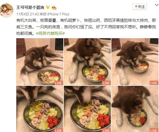 狗狗生病治疗贵不贵,狗狗50种常见疾病及治疗方法