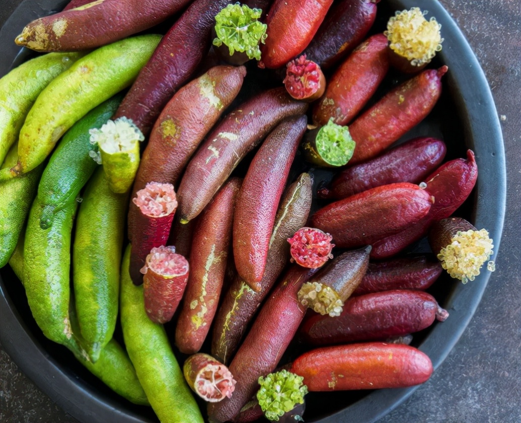 指橙和指橙柠檬区别,指橙有没有长得很高的品种