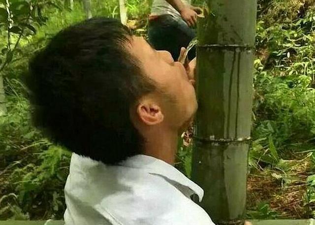 网红竹酒是正品吗,竹子酒网红