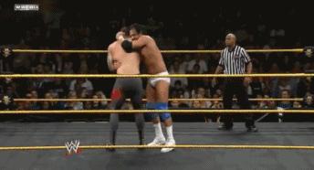 wwe十大毒蛇兰迪精彩时刻,2019wwe毒蛇兰迪全场比赛