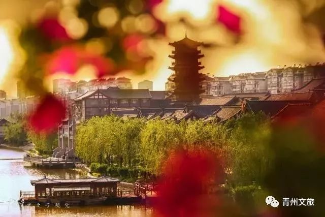 这样的青州，您不可错过~