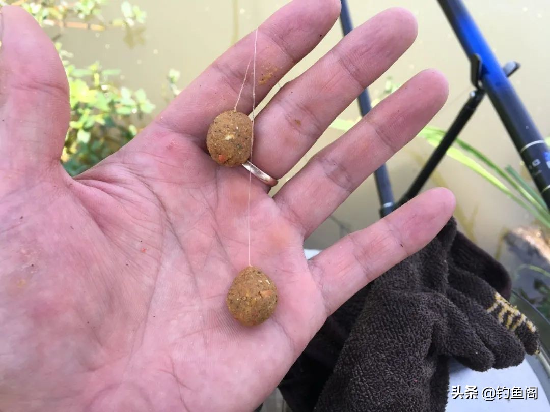 大鱼要钓深钓远,大鱼要钓钝吗