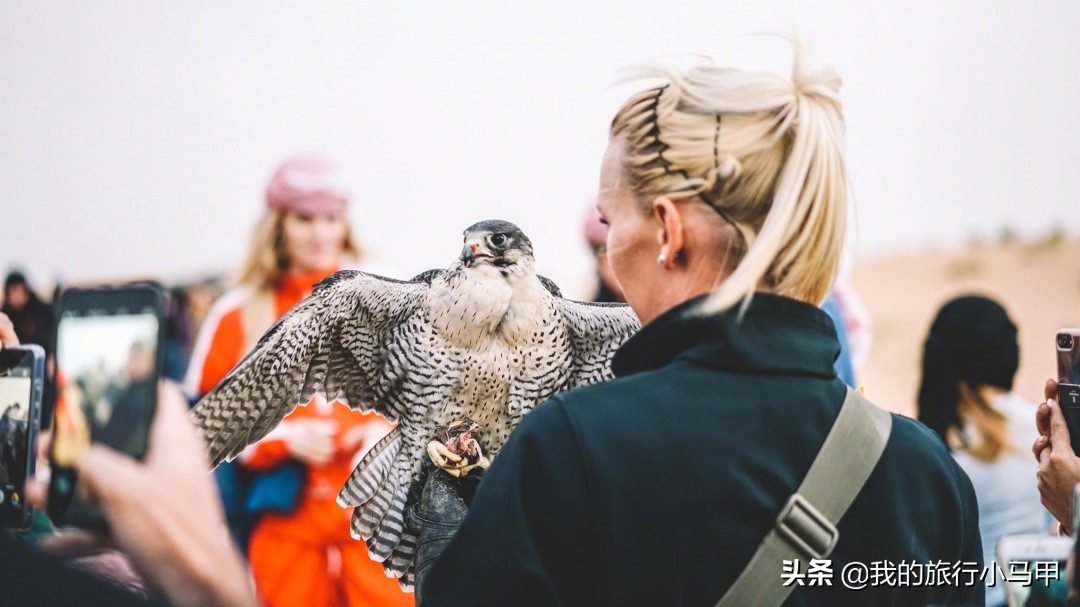迪拜旅游最全最完美最实用攻略,迪拜旅游最详细攻略