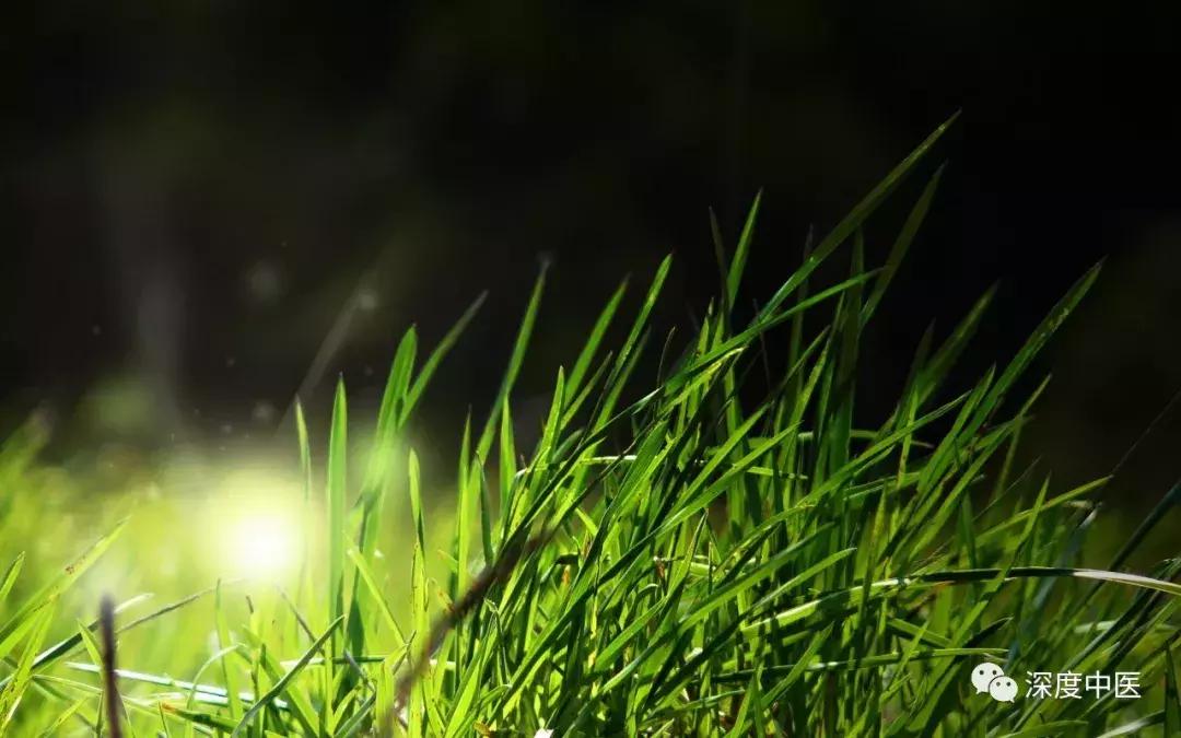 血细胞分析五分类和血常规的区别,医学基础知识血液生化