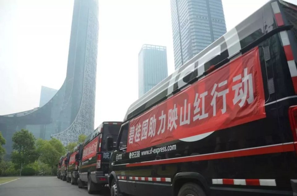 园满江淮|碧桂园助力《第一时间》第15季“映山红行动”