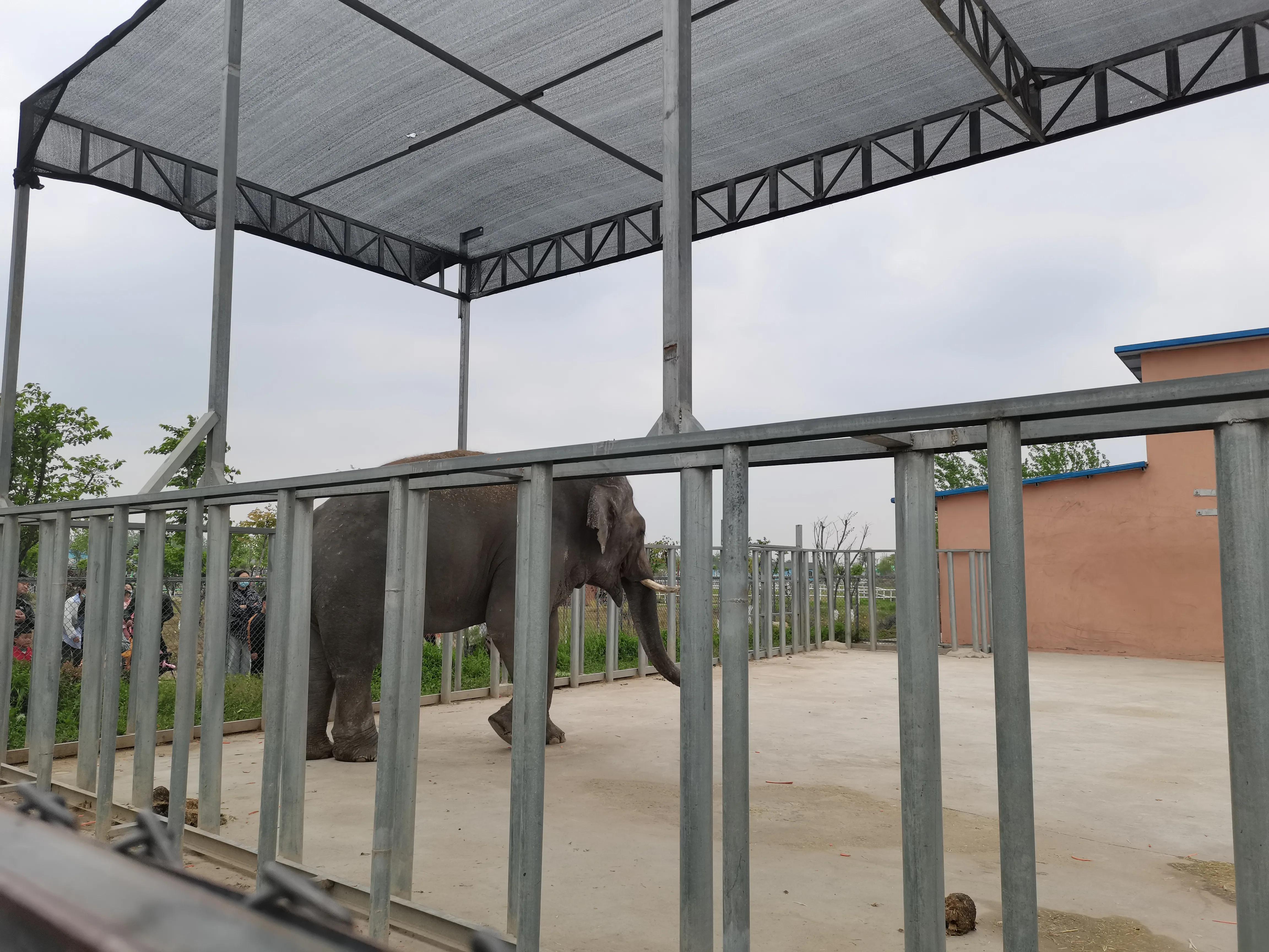 济南野生动物园和宿州野生动物园,宿州野生动物园到宿州皇藏峪