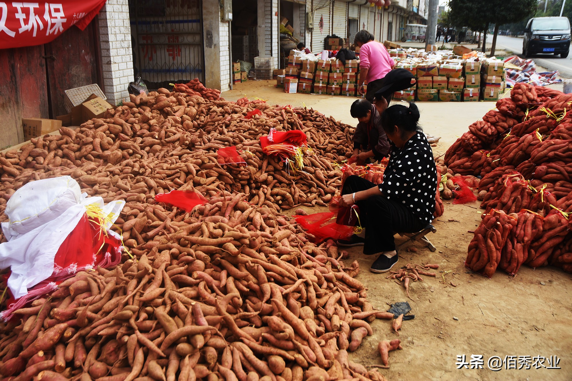 女记者辞职,记者辞职卖地瓜年入一亿引争议