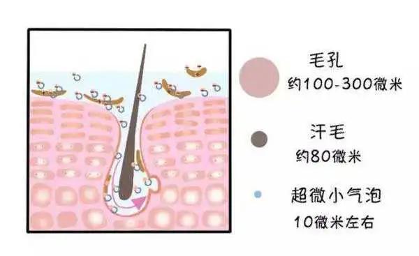 还在为粉刺黑头烦恼吗,还在为黑头而烦恼吗