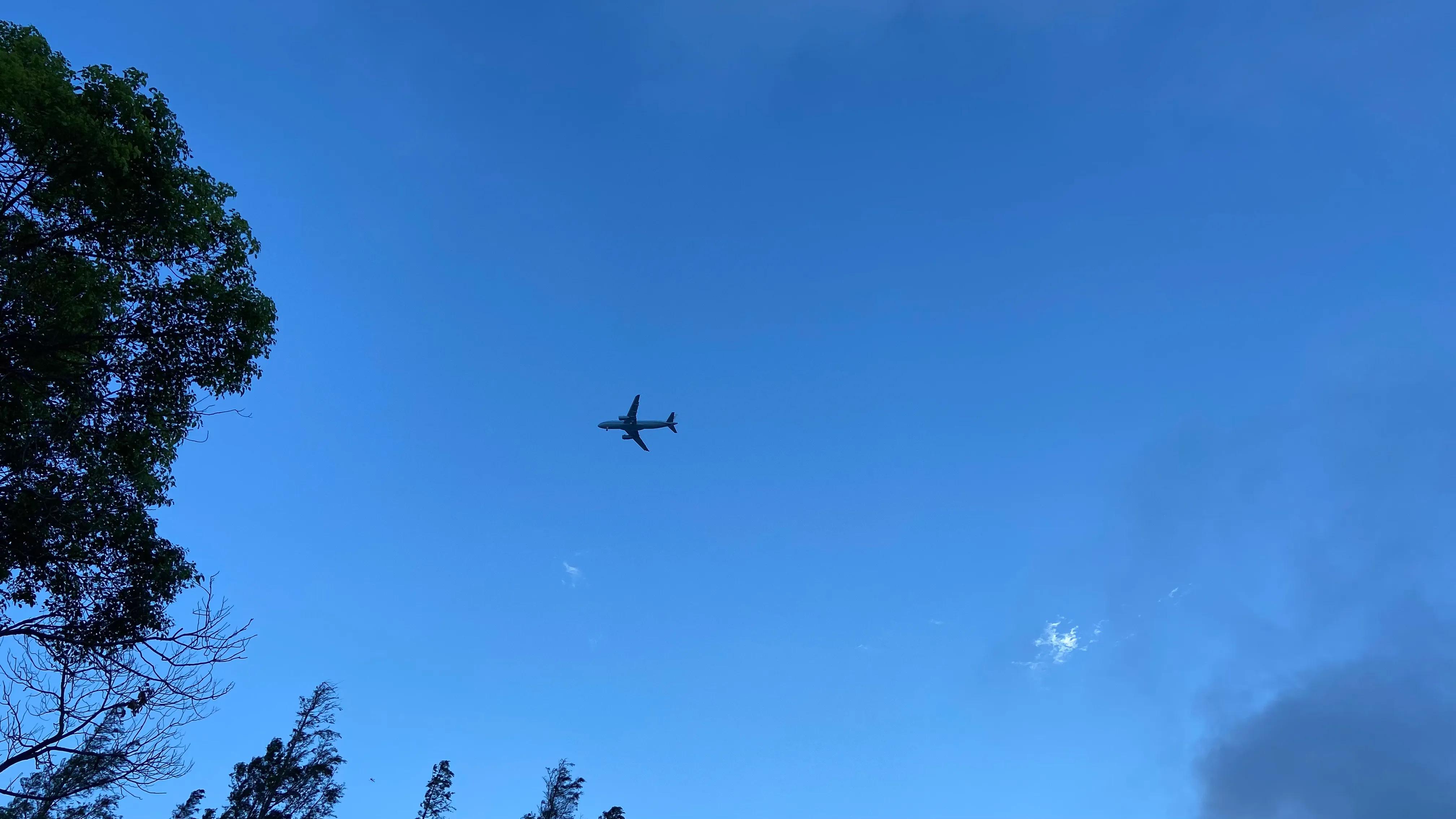 上海看美丽的大海,上海哪里有海滩看大海免费