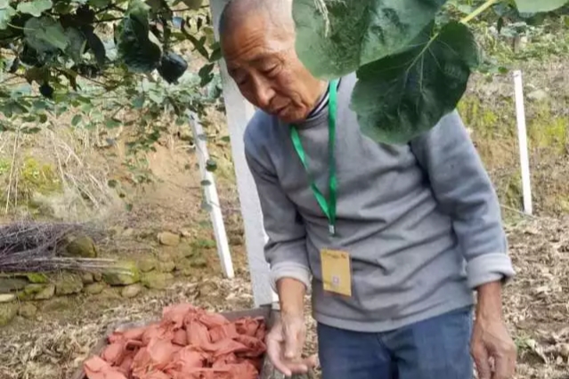 70岁以上农民借钱,60岁农民有什么贷款可以借