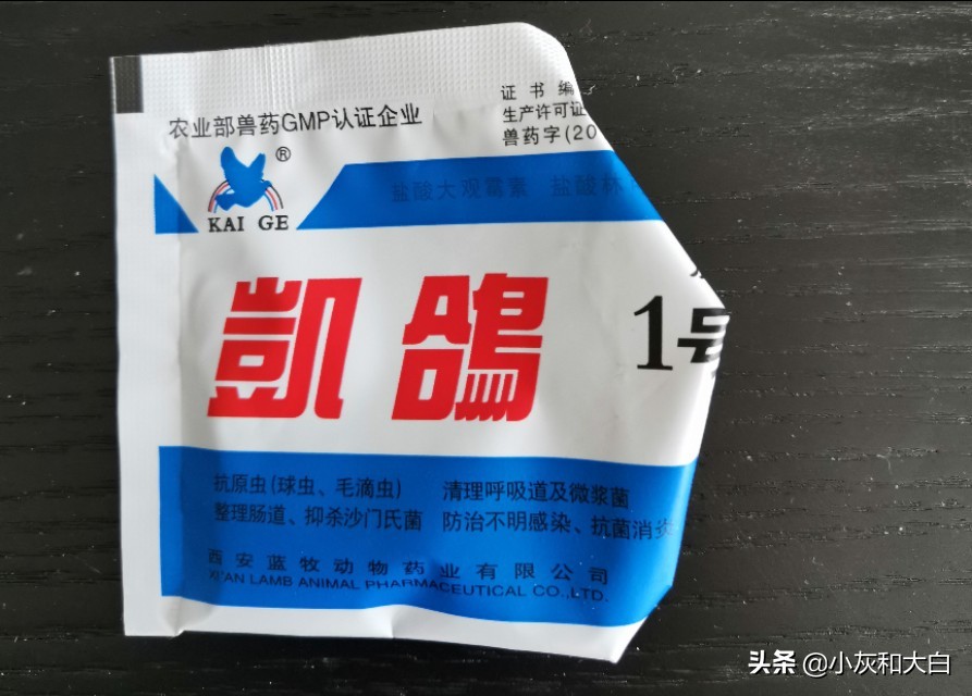 小鸟病得很严重怎么办,小鸟生病了该怎么照顾