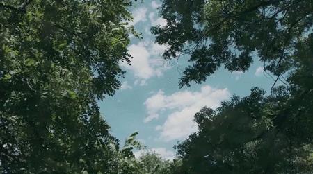 你的车里真好闻！复刻千年国宝的它，随行随香，极雅