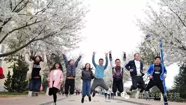 濮大樱花谢了吗,濮大樱花位置