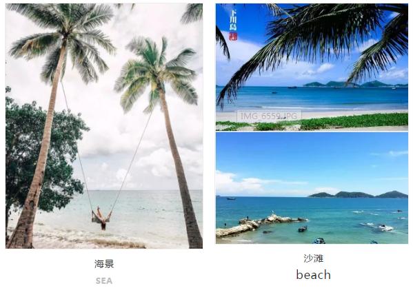 广东小帕劳,下川岛小帕劳