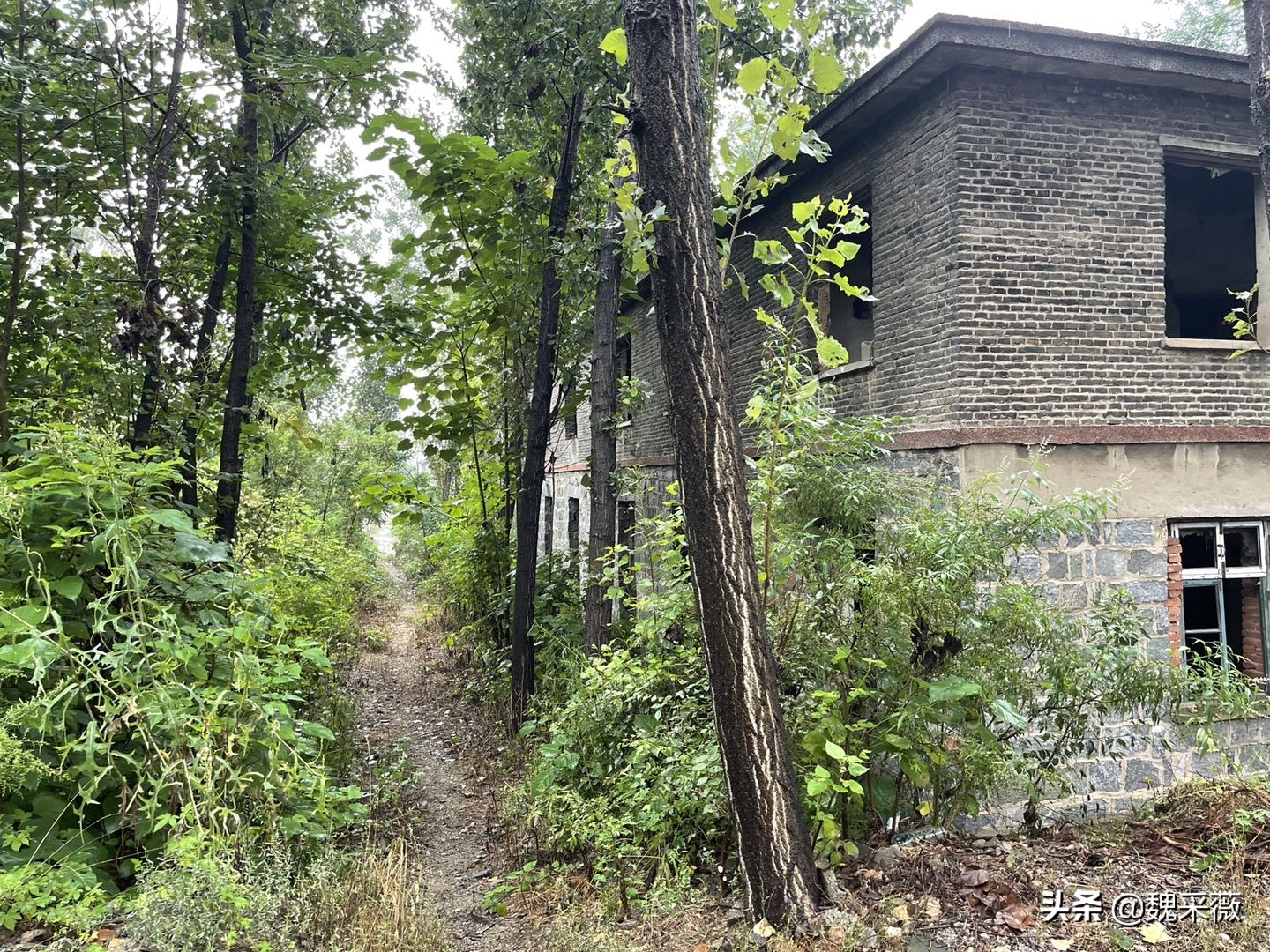 上世纪60年代红遍世界的大寨村,四十年前大寨村