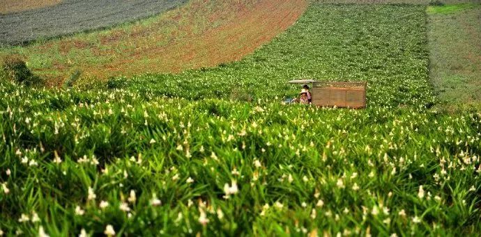 距海南仅20km，这个处女地比台湾风情、比三亚便宜，你错过了吗？