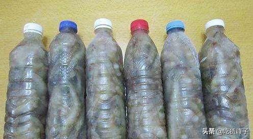 冷冻虾解冻后和鲜虾的区别,鲜虾直接放冰箱冻起来