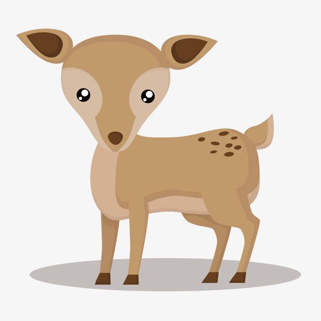 野生动物保护法新规定全文,关于保护野生动物法的普法宣传