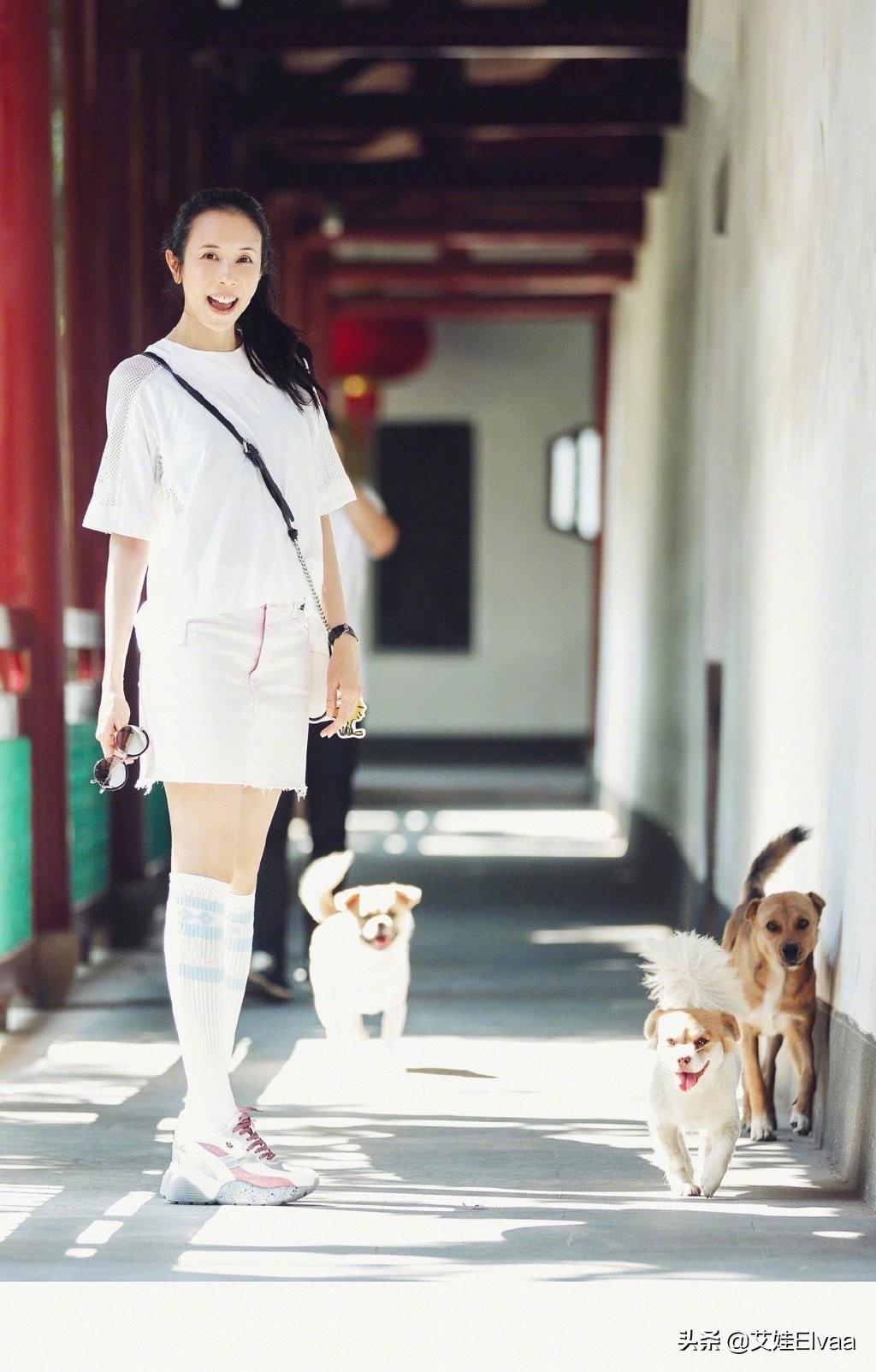 莫文蔚黑色渔网袜,莫文蔚黑色短裤