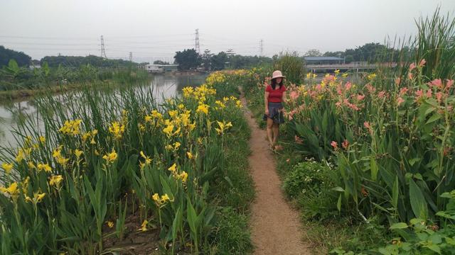 中山崖口美食推荐,崖口村煲仔饭云吞团购